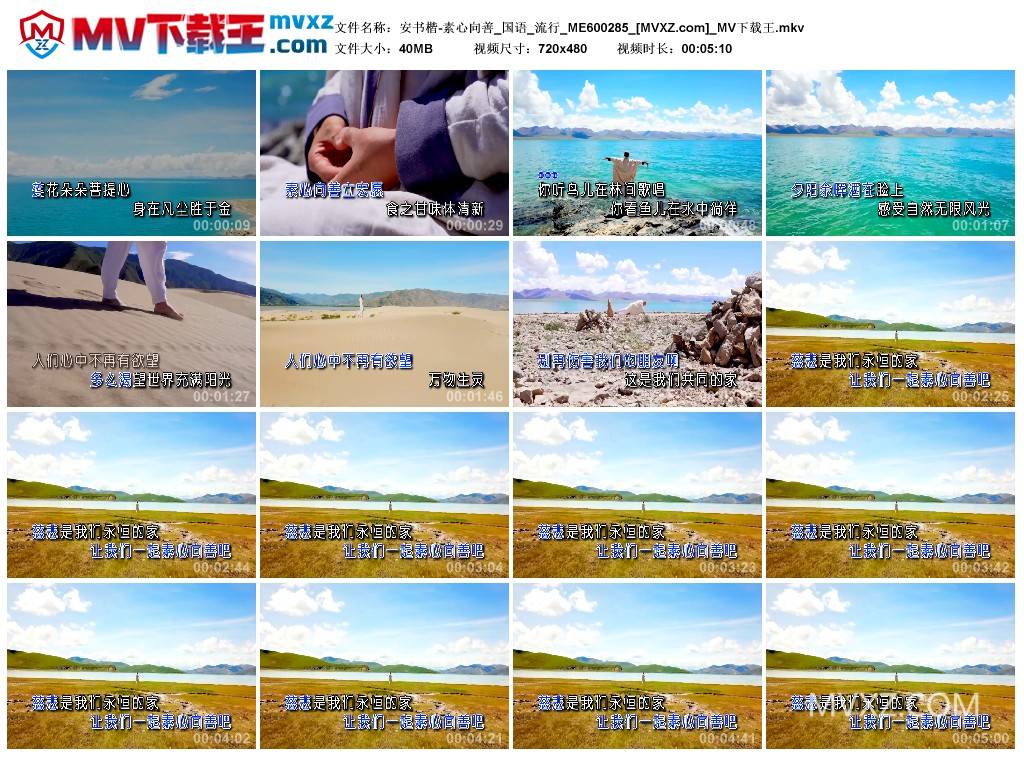 安书楷-素心向善_国语_流行_ME600285